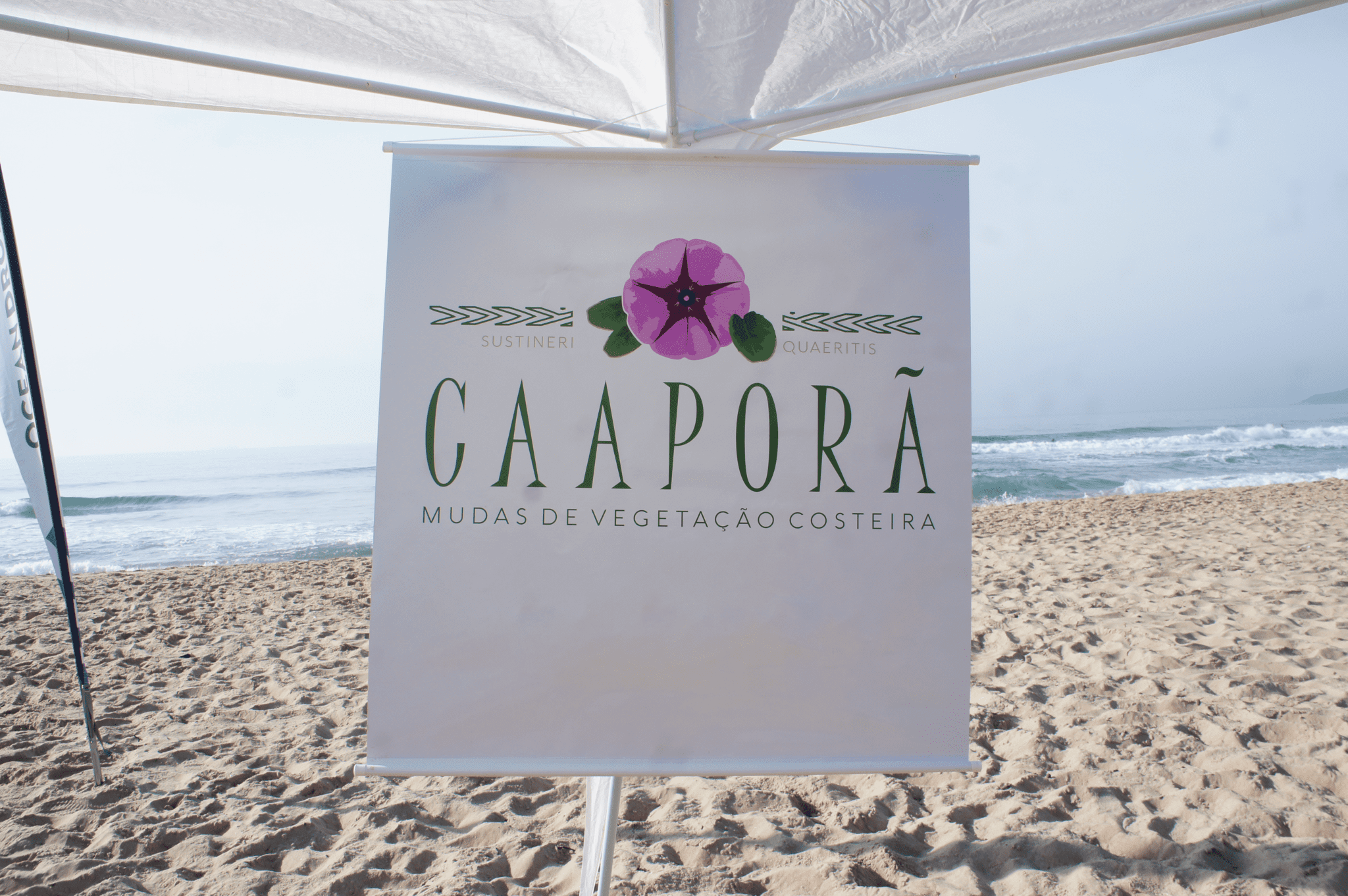 Capítulo 8: Caaporã – Semeando Vida e Futuro em cada Muda Plantada